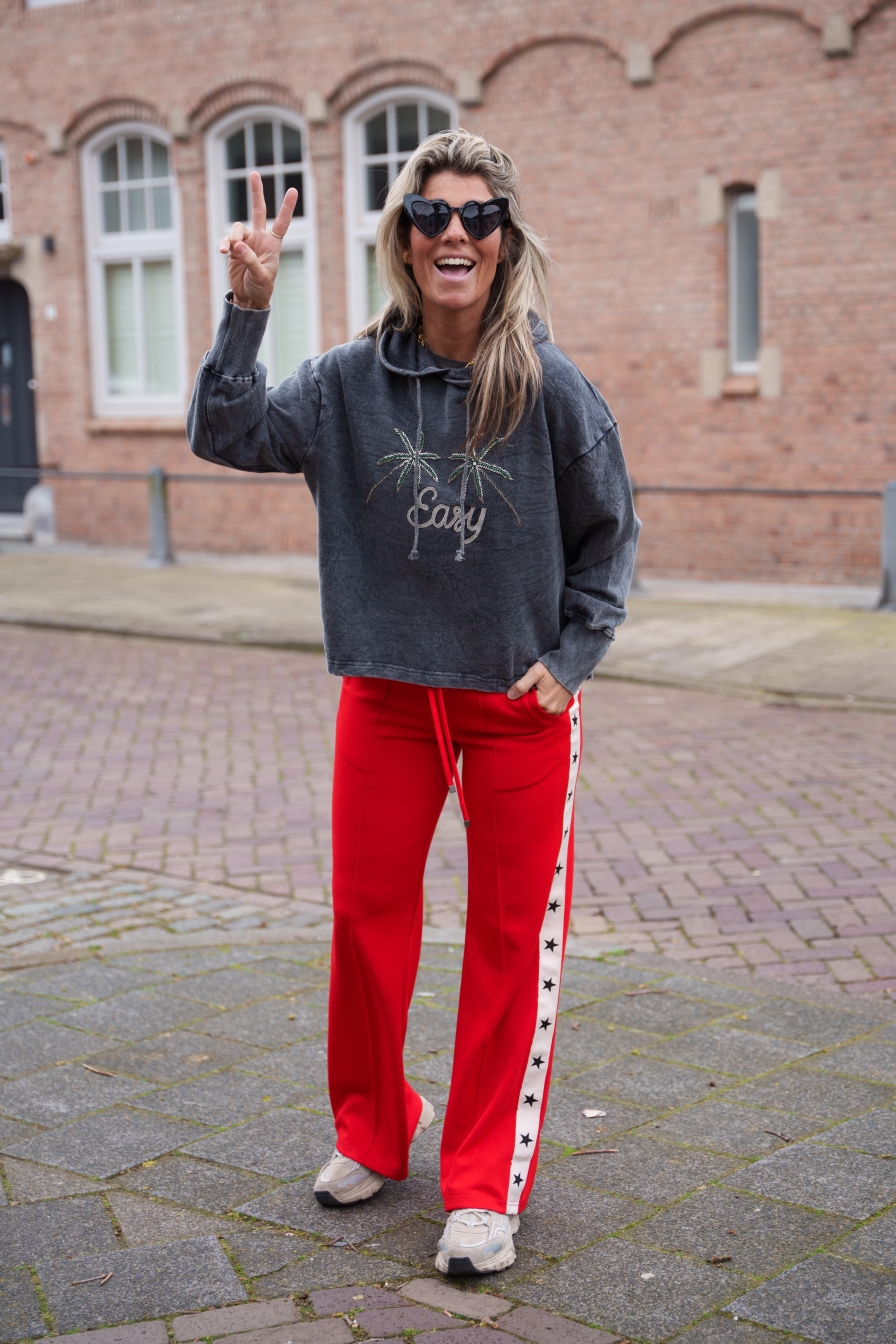Trui Stone Washed Hoody Palm