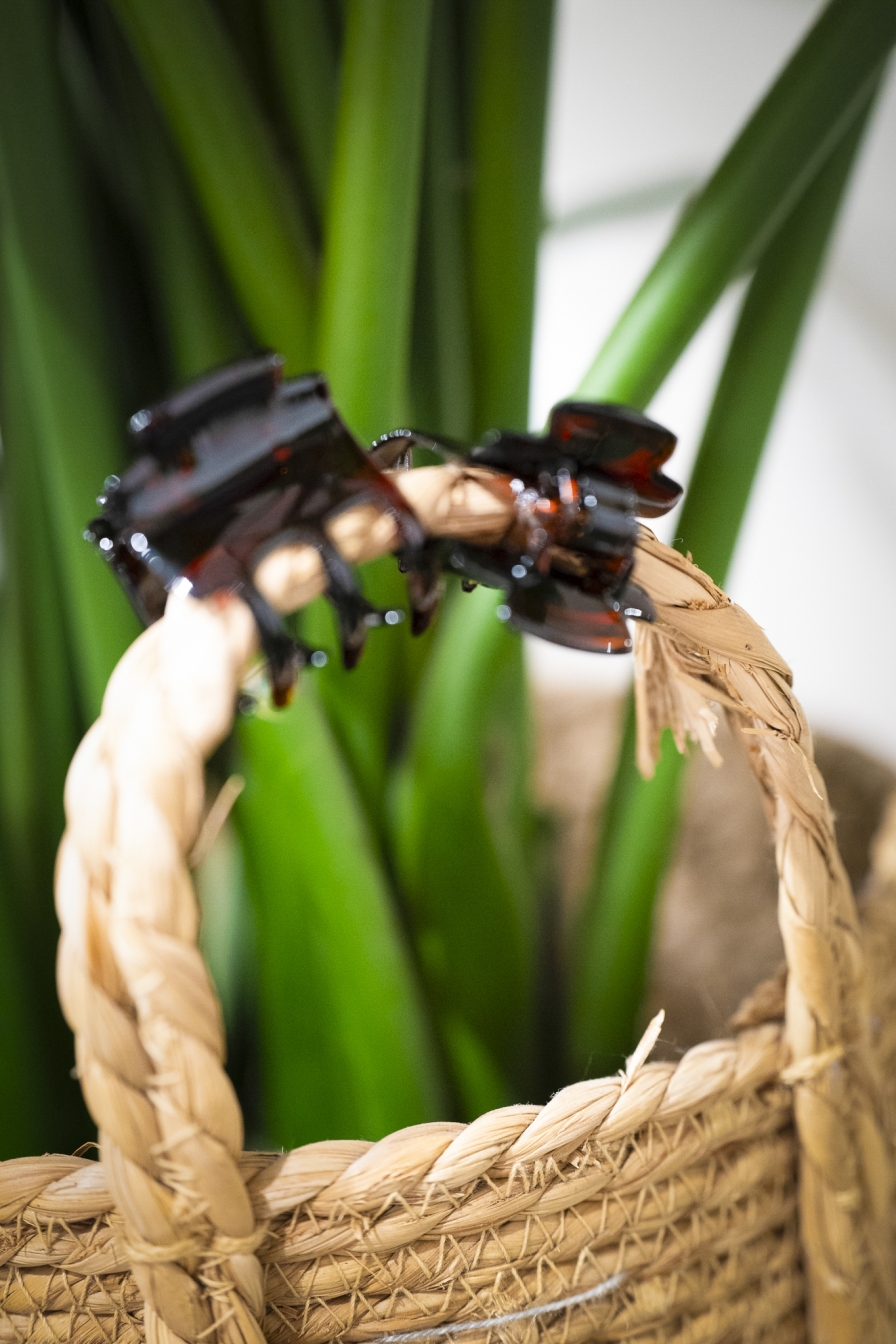 Haarklemmetjes Brunette 2Pack