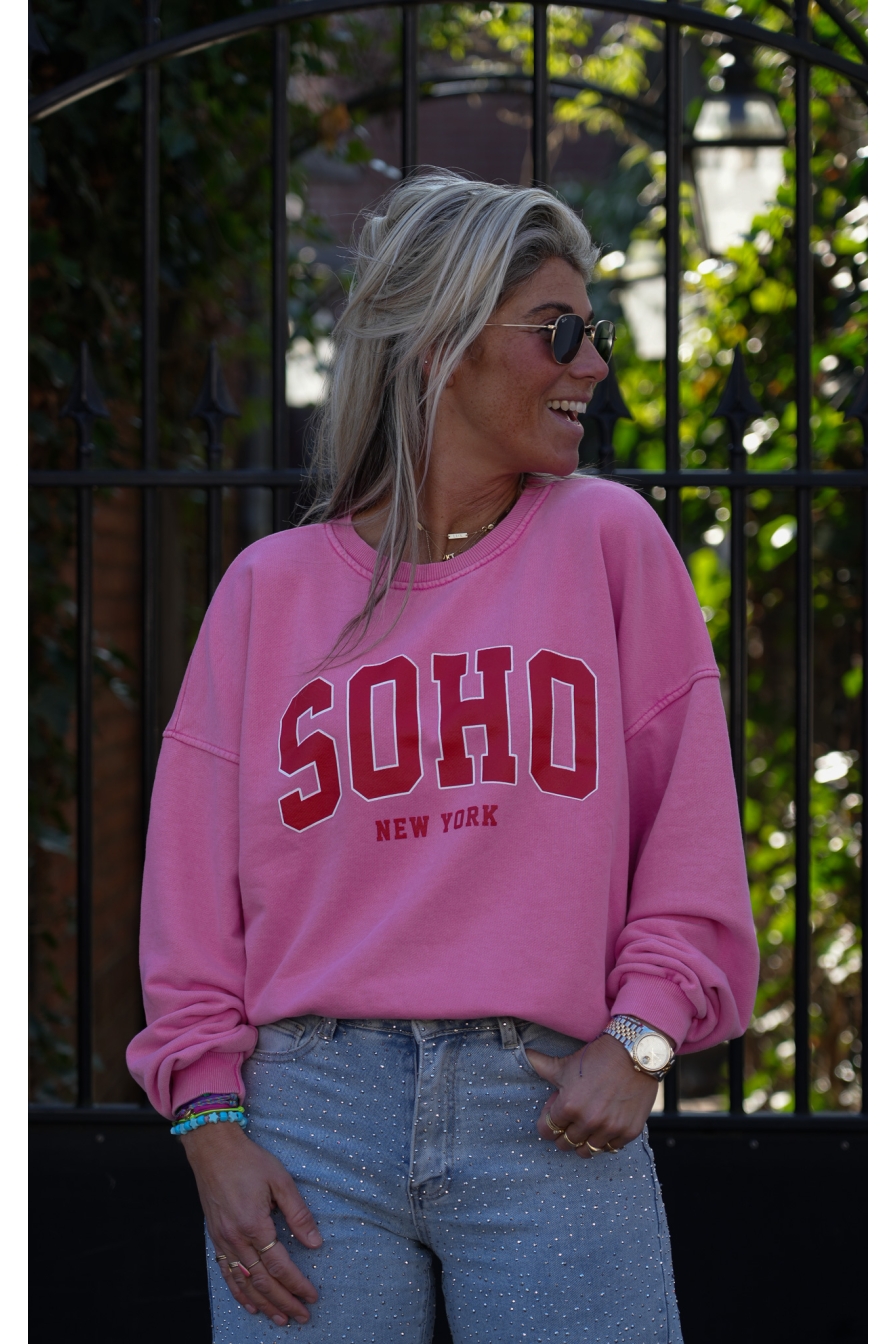 Sweater SOHO Roze - Rood