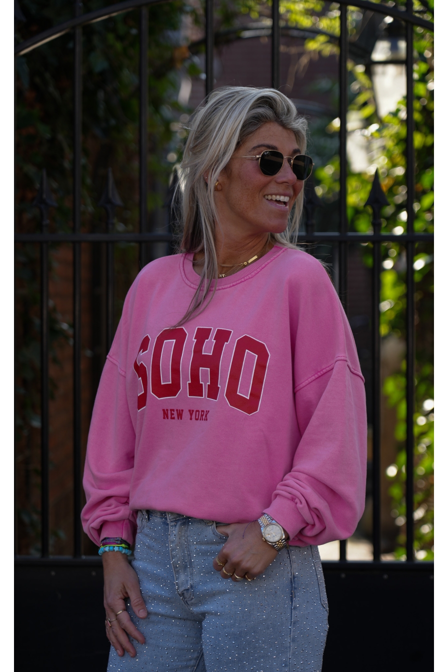 Sweater SOHO Roze - Rood