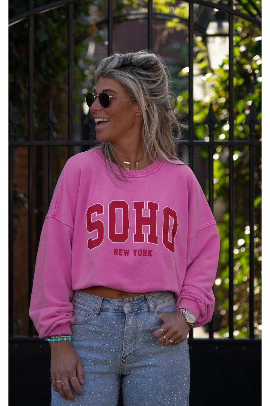 Sweater SOHO Roze - Rood