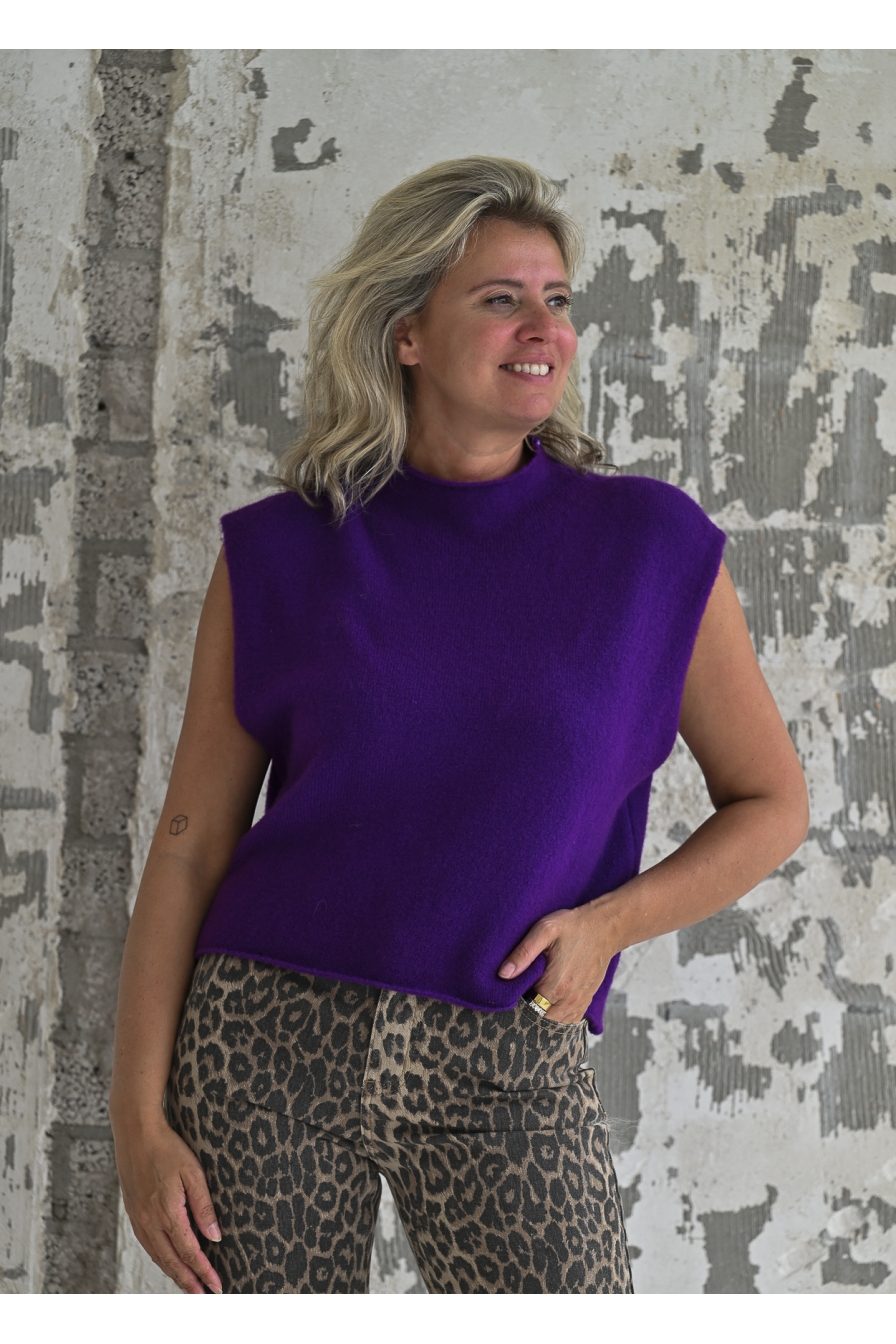 Turtle Neck Gilet Paars