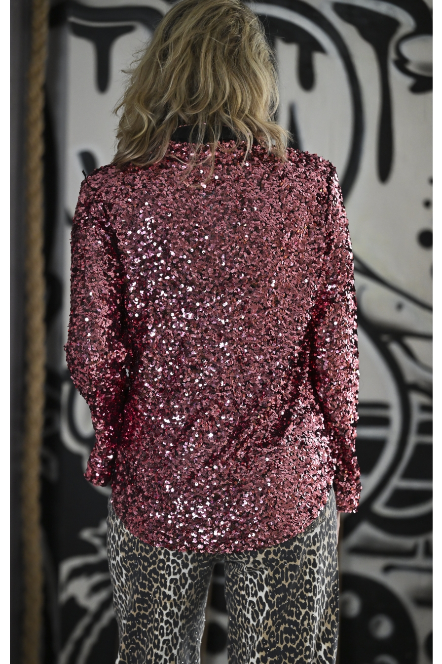 Glitter Blouse Rood