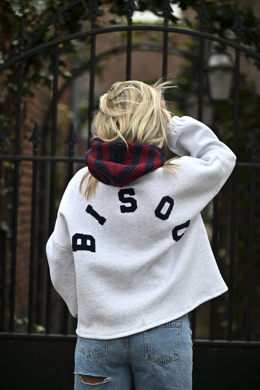 Sweater Bisou Grijs - Blauw