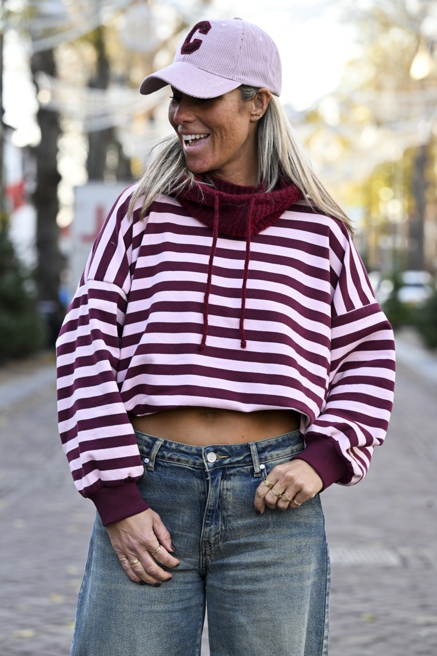 Gestreepte Sweater Roze - Bordeaux