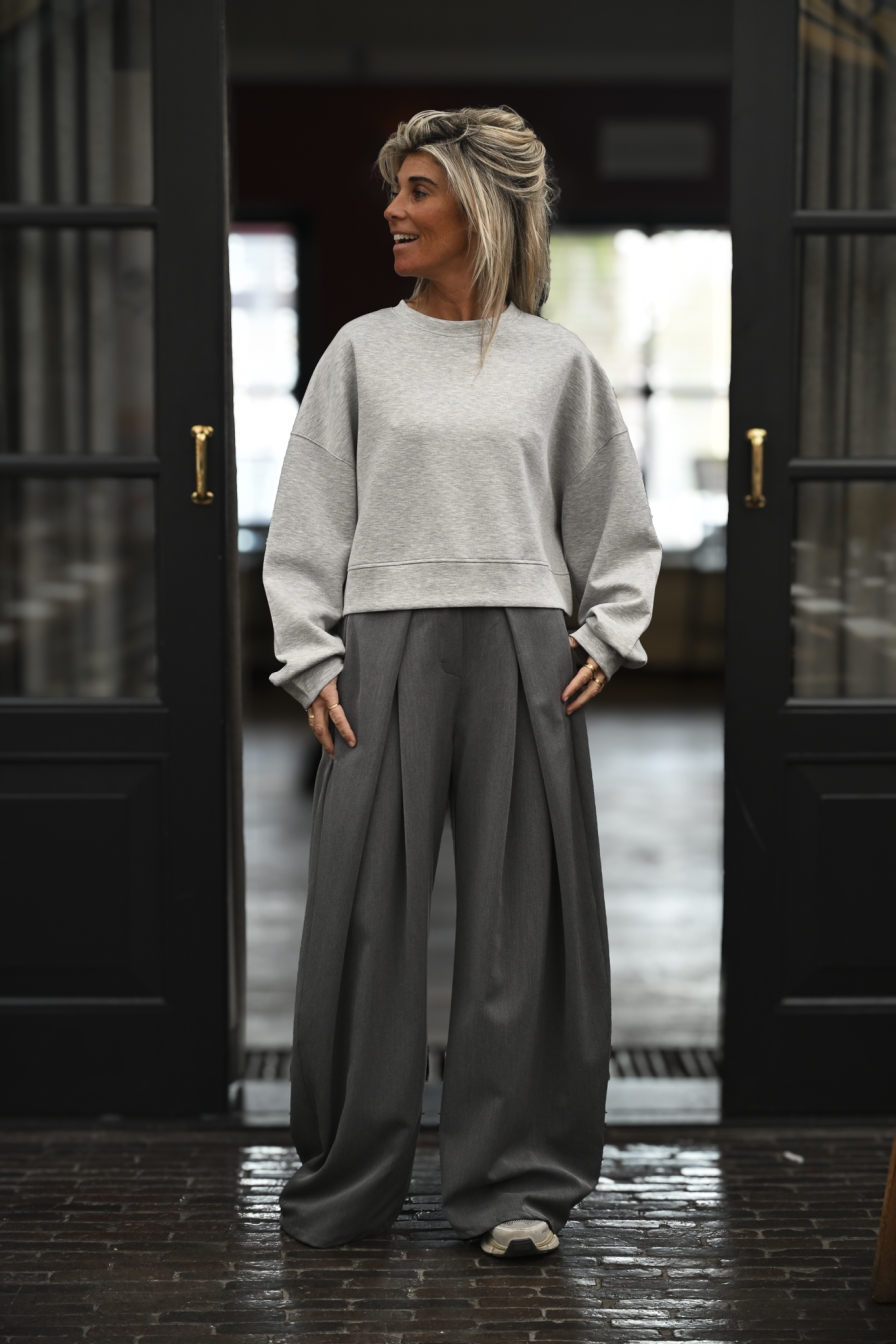 Pantalon Palazzo Grijs