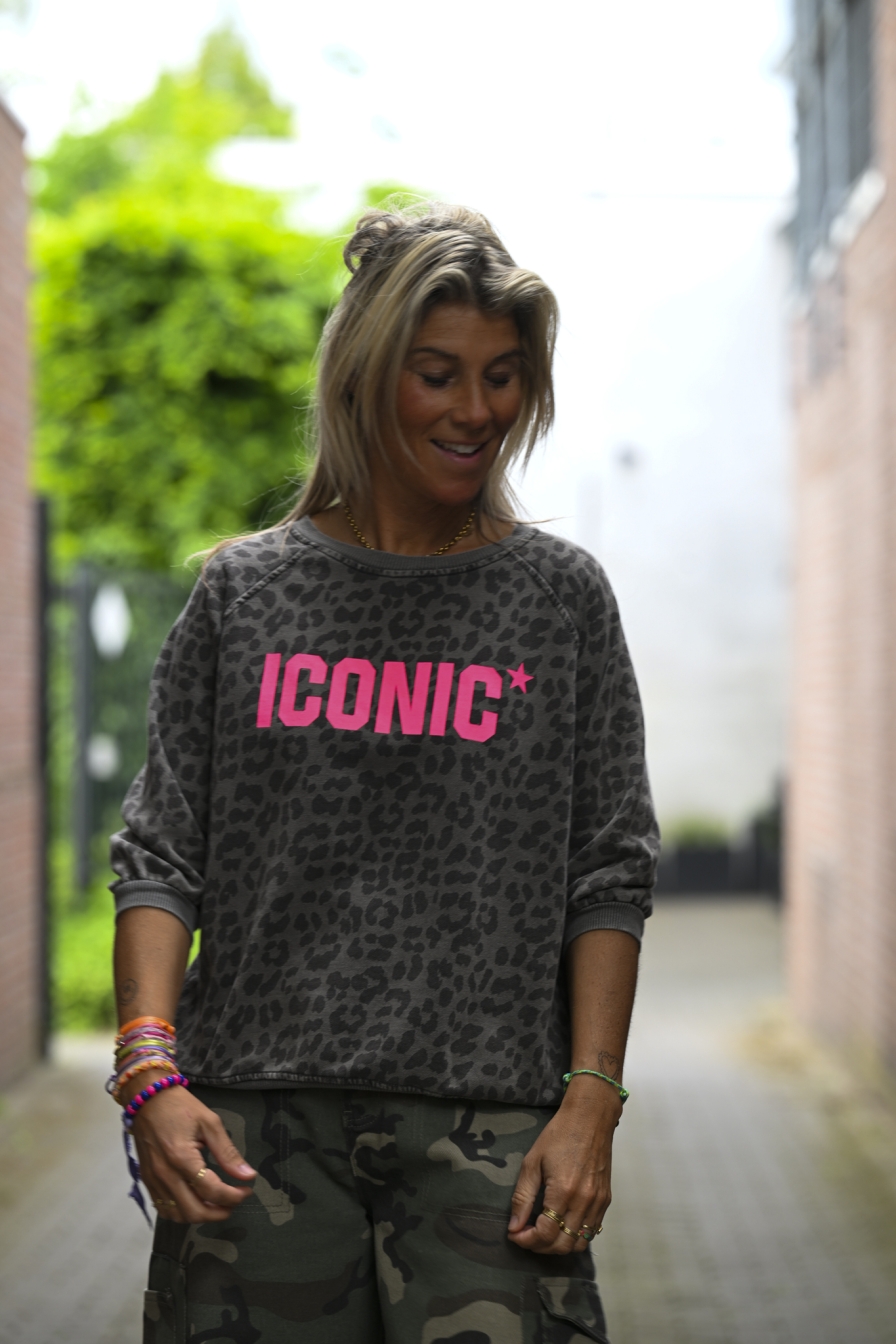 Sweater Iconic Grijs - Fuchsia