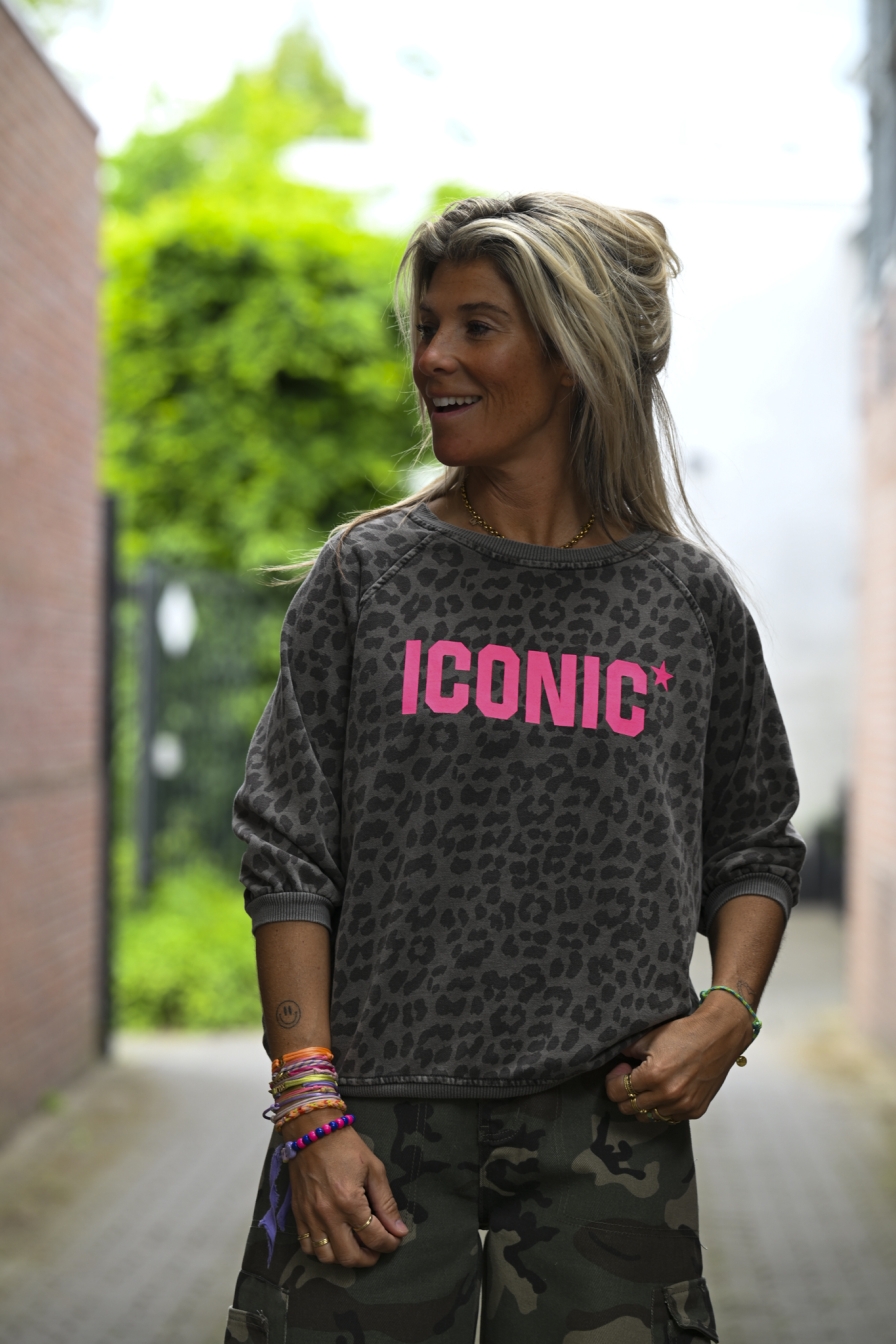 Sweater Iconic Grijs - Fuchsia