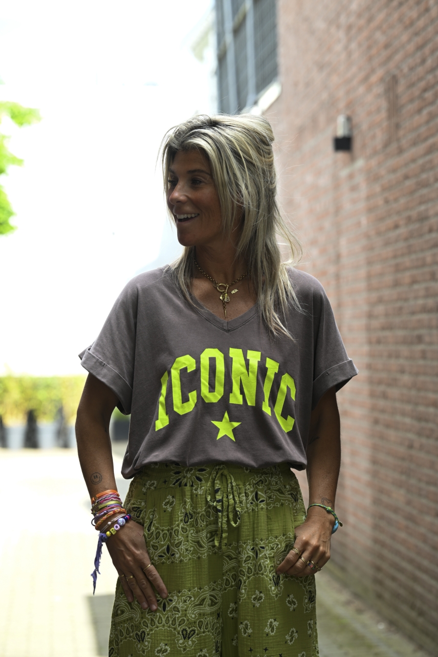 Shirt Iconic Grijs - Geel