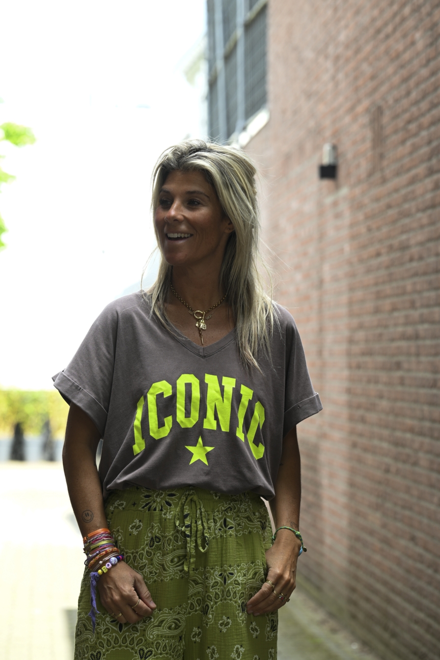 Shirt Iconic Grijs - Geel
