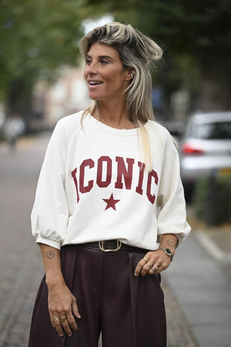 Sweater ICC Beige