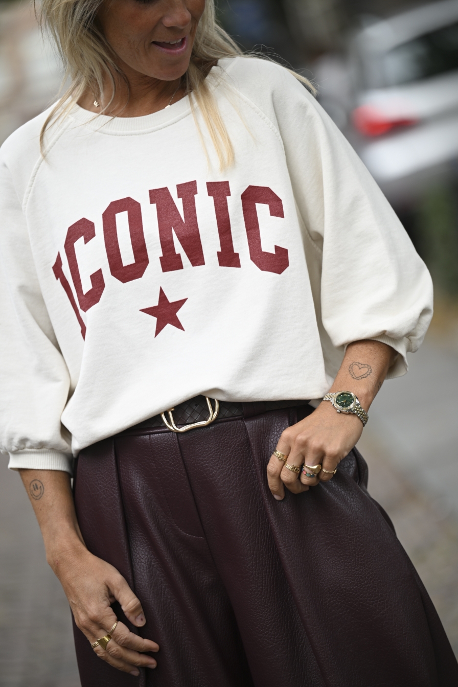 Sweater ICC Beige