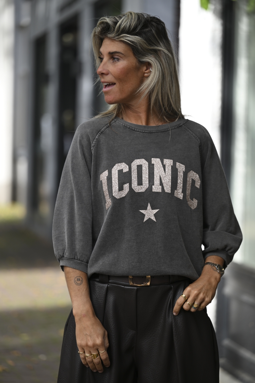 Sweater ICC Grijs