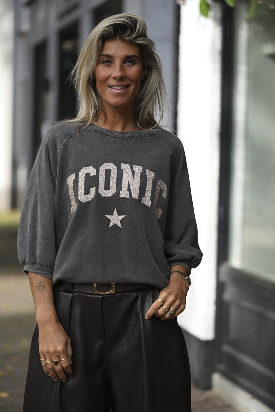 Sweater ICC Grijs