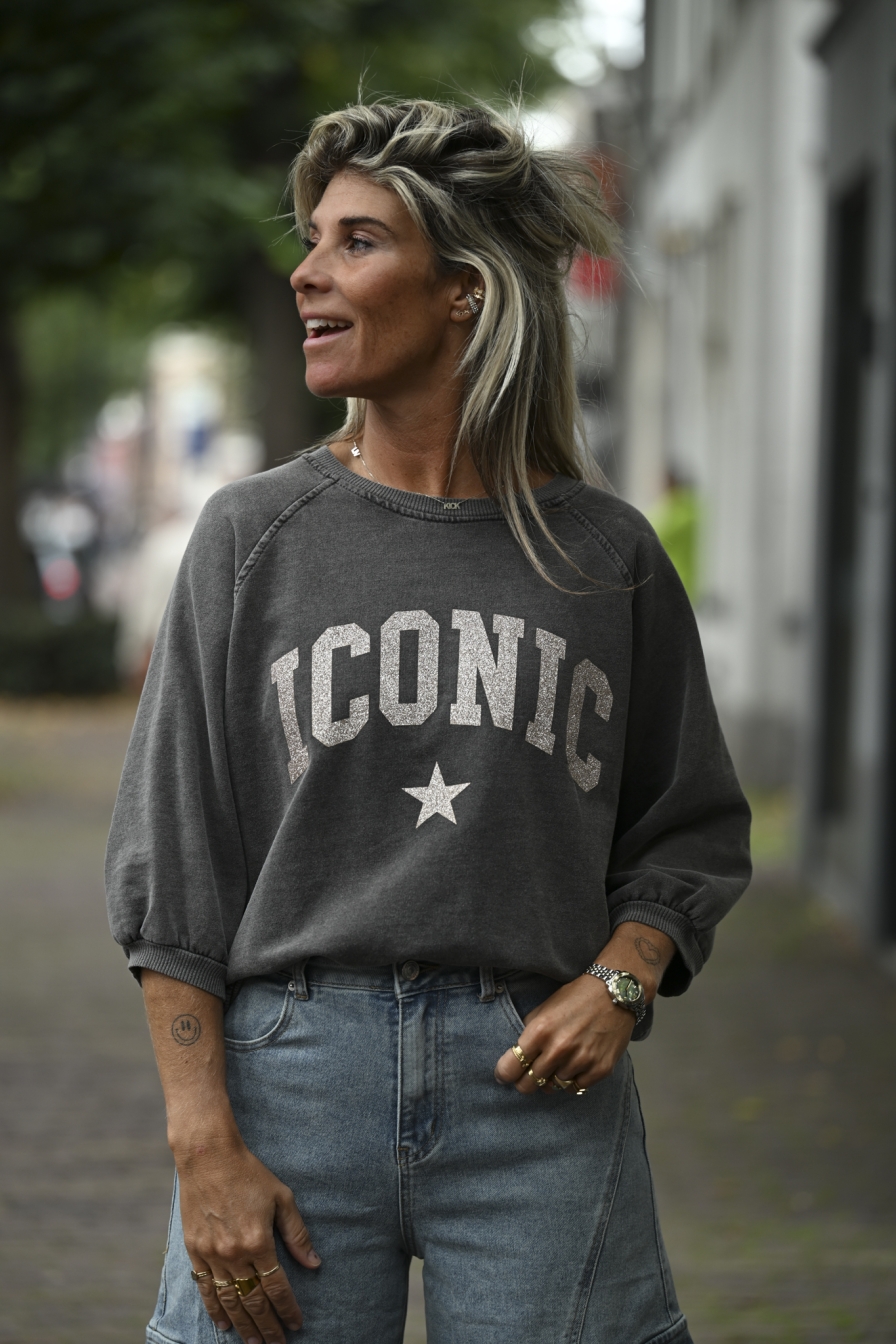 Sweater ICC Grijs