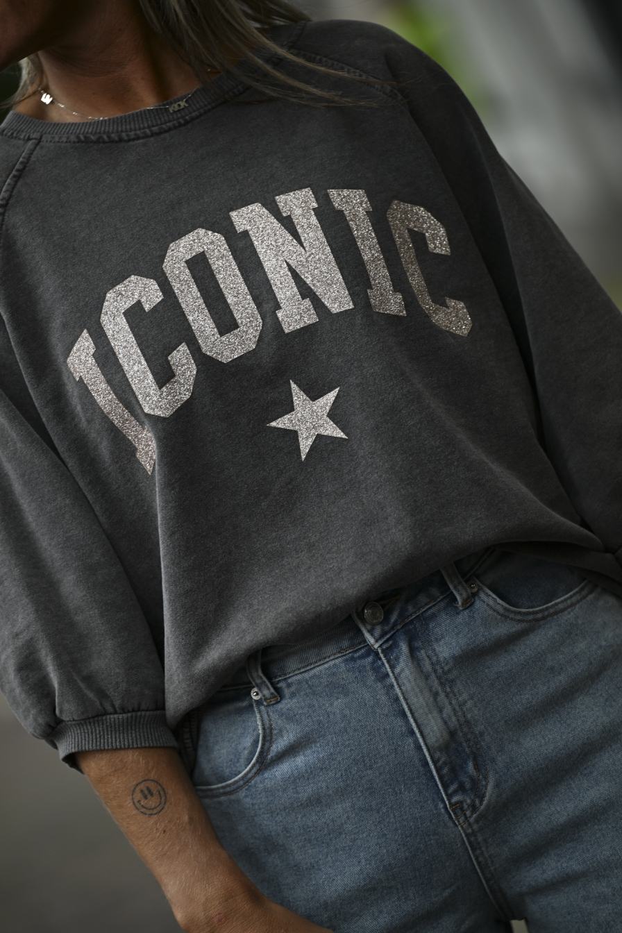 Sweater ICC Grijs