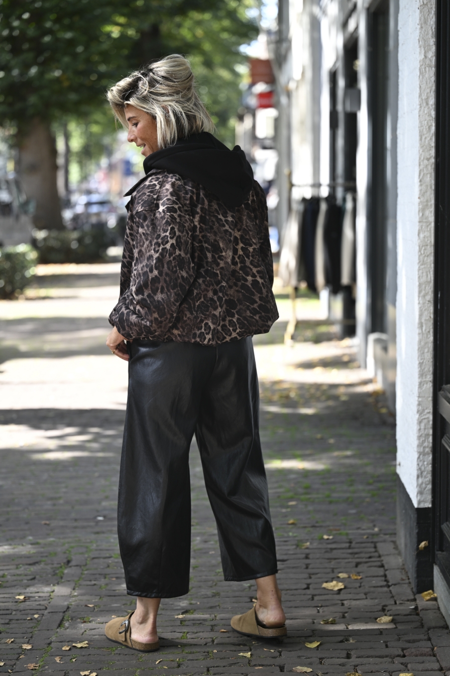 Leopard Jack Rosa