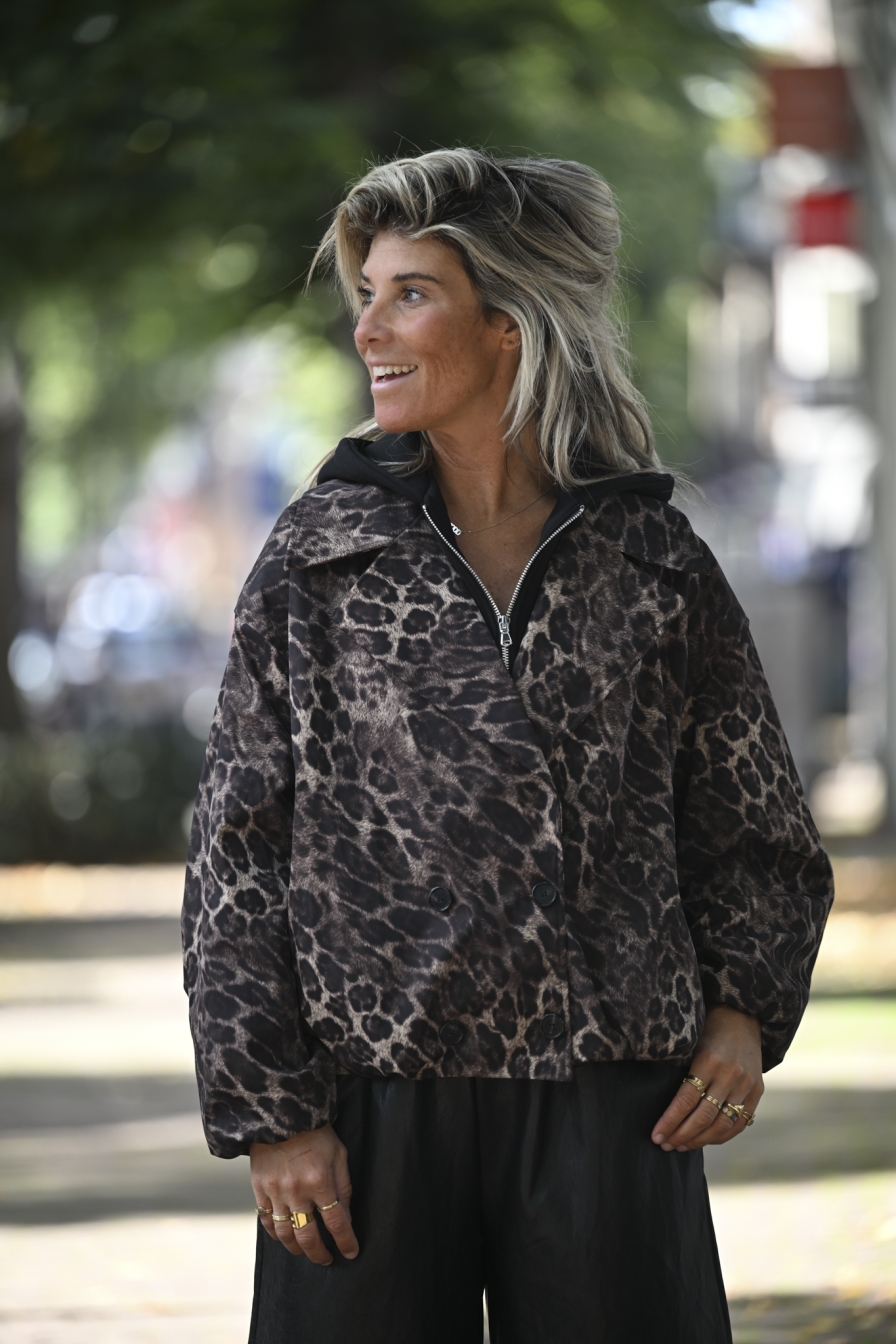 Leopard Jack Rosa